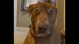 maxresdefault (8).jpg