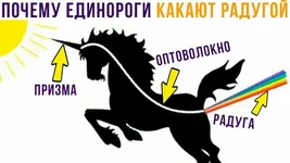 i.webp