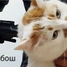 НеБейМеня